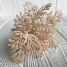 Веточка туи, 16 см, персиковый, упаковка 10 шт.