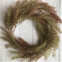 Свисающая ветка аспарагуса, 108 см, зеленый с бордовым, шт.