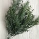 Ветка багульника, 50 см, зеленый, шт.