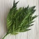 Гілка папороті, 42 см, темно-зелений, шт.