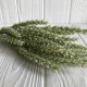 Ветка вереска пушистого, 40 см, оливковый, 1 шт.