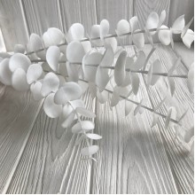 Ветка эвкалипка, 85 см, белый, шт.