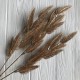 Гілка тростнику, 70 см, золото, шт.