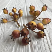 Шиповник, 12 мм, желто-коричневый, упаковка 50 шт.