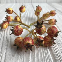 Шиповник, 12 мм, желто-красный, упаковка 50 шт.