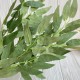 Ветка рускуса декоративная, 58 см, зеленая, шт.