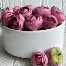 Бутон ранункулюса, 4 см, розово-пудровый, упаковка 25 шт.