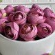 Бутон ранункулюса, 4 см, розово-пудровый, упаковка 25 шт.