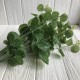 Гілка евкаліпта (тканина), 50 см, зелений, 1 шт.