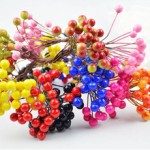 Калина, ягодки