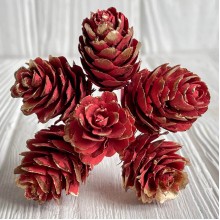 Веточка хмели, 2,5х12 см, красный, упаковка 60 шт.