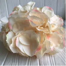 Гортензия (соцветие), 22 см, персиковый, шт.