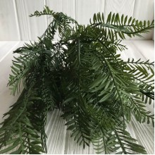 Ветка нефролеписа, 50 см, зеленый, шт.