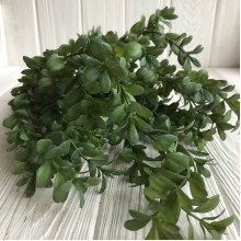 Гілка самшиту, 48 см, зелений, шт.