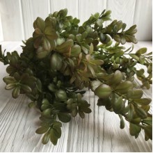 Гілка самшиту, 48 см, бордово-зелений, шт.