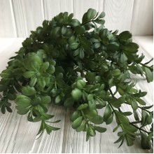 Гілка самшиту, 48 см, темно-зелений, шт.