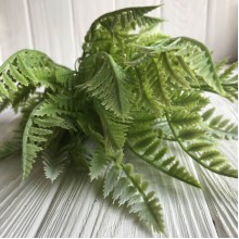 Гілка папороті, 42 см, світло-зелений, шт.
