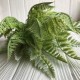Гілка папороті, 42 см, світло-зелений, шт.