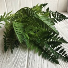 Гілка папороті, 42 см, темно-зелений, шт.