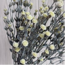 Зелень гіпсофіли, 38 см, світло-жовтий, шт.