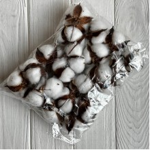 Хлопок стабилизированный (коробочка), 5-6 см, белый, упаковка 20 шт.
