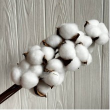 Хлопок стабилизированный на ножке, 38 см, белый, упаковка 10 шт.