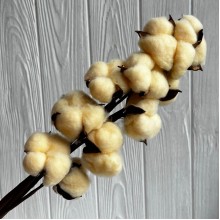 Хлопок стабилизированный на ножке, 38 см, кремовый, упаковка 10 шт.