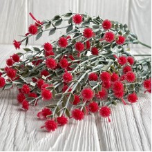 Зелень гіпсофіли, 38 см, червоний, шт.