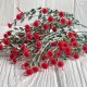 Зелень гіпсофіли, 38 см, червоний, шт.