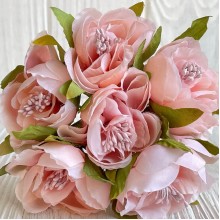 Бегония, 5х12 см, персиковая, упаковка 30 шт.