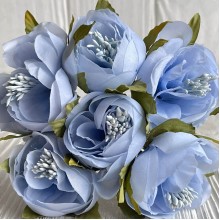 Бегония, 5х12 см, голубая, упаковка 30 шт.