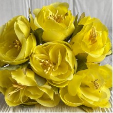 Бегония, 5х12 см, желтая, упаковка 30 шт.