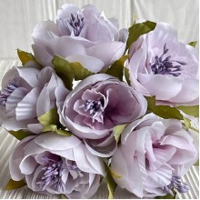 Бегония, 5х12 см, нежно-лавандовая, упаковка 30 шт.