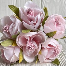 Бегония, 5х12 см, нежно-розовая, упаковка 30 шт.