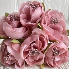 Бегония, 5х12 см, пудровая, упаковка 30 шт.