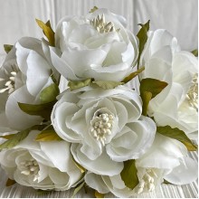 Бегония, 5х12 см, белая, упаковка 30 шт.