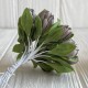 Подснежник, 2 см, серо-оливковый, пучек из 20 цветочков