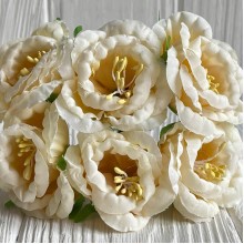 Глоксиния, 4,5 см, молочный, упаковка 36 шт.