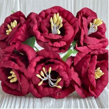 Глоксиния, 4,5 см, бургунди, упаковка 36 шт.