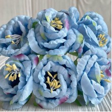 Глоксиния, 4,5 см, голубой, упаковка 36 шт.