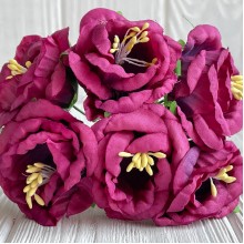 Глоксиния, 4,5 см, малиновый, упаковка 36 шт.