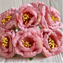 Глоксиния, 4,5 см, лососевый, упаковка 36 шт.