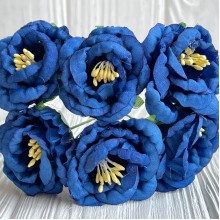 Глоксиния, 4,5 см, темно-синий, упаковка 36 шт.