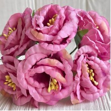 Глоксиния, 4,5 см, ярко-розовый, упаковка 36 шт.