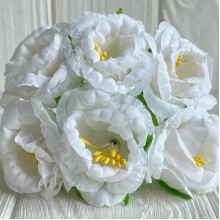 Глоксиния, 4,5 см, белый, упаковка 36 шт.