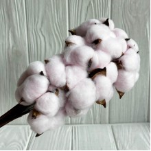 Хлопок стабилизированный на ножке, 38 см, нежно-розовый, упаковка 10 шт.