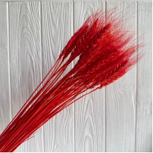 Колоски стабилизированные, 60 см, красные, упаковка 30 шт.