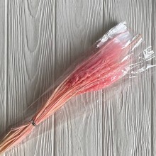 Колоски стабилизированные, 60 см, розовые, упаковка 30 шт.