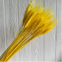 Колоски стабилизированные, 60 см, желтые, упаковка 30 шт.
