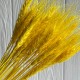 Колоски стабілізовані, 60 см, жовті, упаковка 30 шт.
